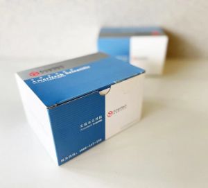 水系针式过滤器 0.45um，13mm